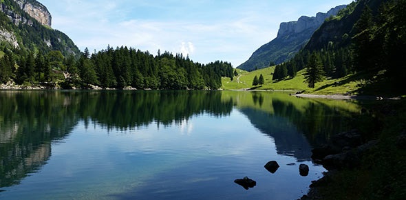 特色小鎮(zhèn)：關(guān)鍵在特色，魅力在特色，生命力在特色——特色小鎮(zhèn)國